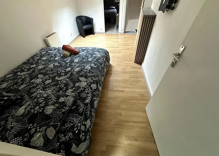 T3 Hyper Centre Place Des Vosges Appartement *