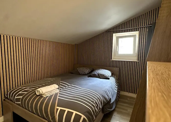 T3 Hyper Centre Place Des Vosges Appartement Épinal