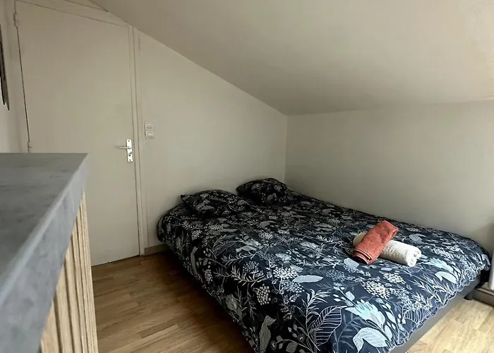 T3 Hyper Centre Place Des Vosges Appartement Épinal