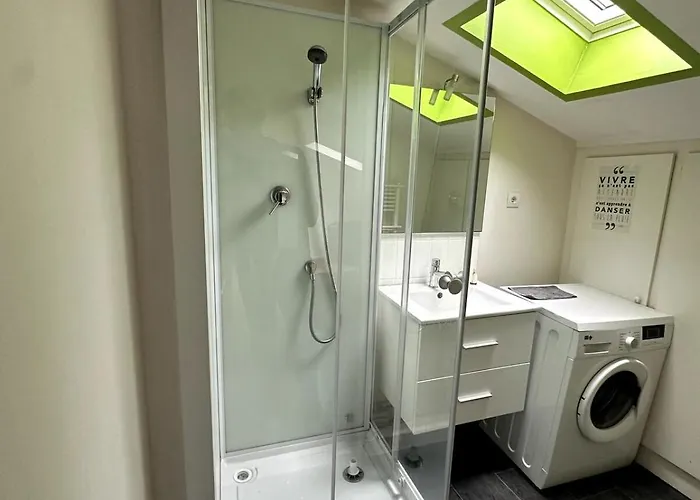 Appartement T3 Hyper Centre Place Des Vosges Épinal