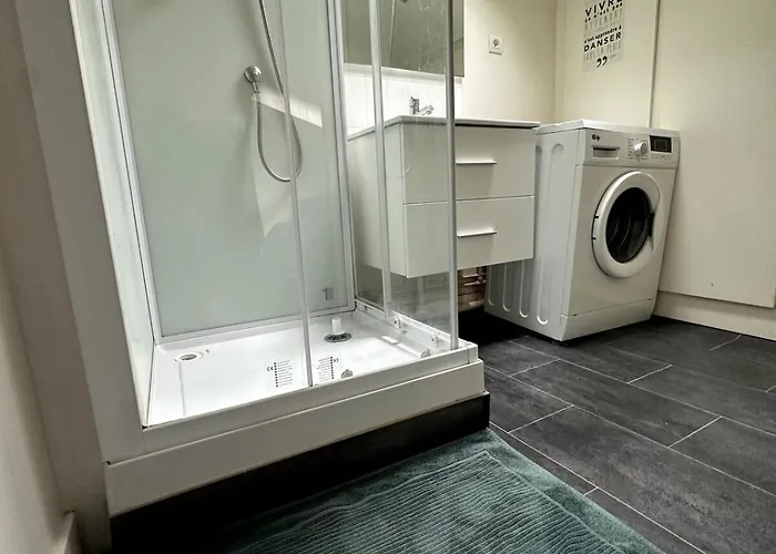 T3 Hyper Centre Place Des Vosges * Épinal