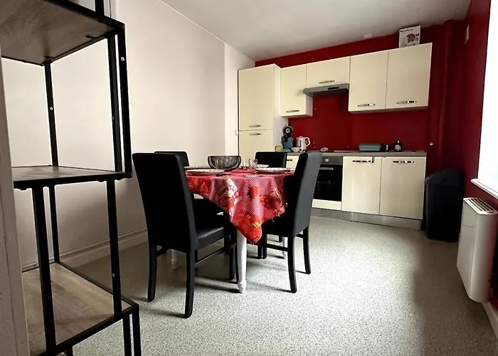 T3 Hyper Centre Place Des Vosges Appartement Épinal